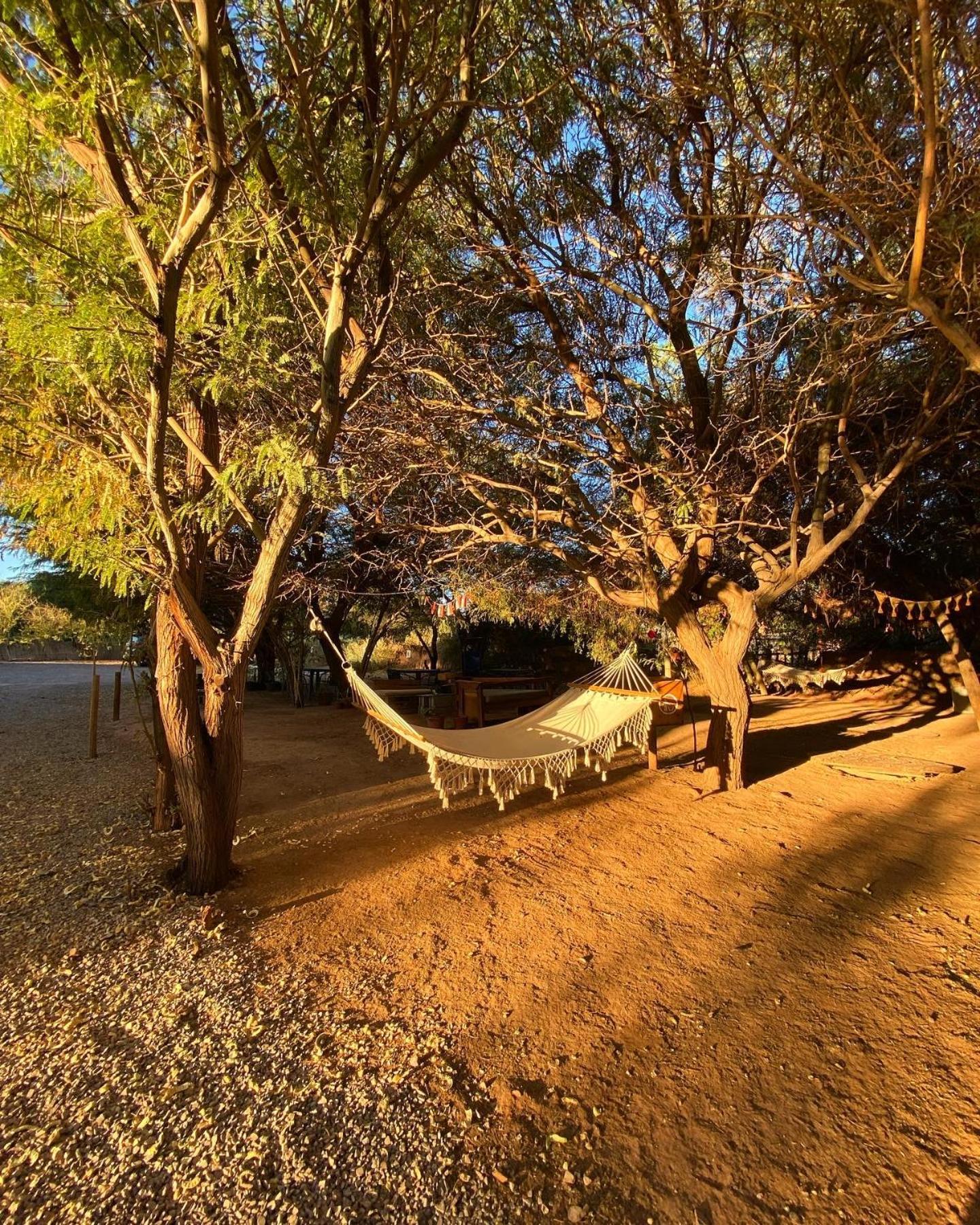 Caminandes Hostal San Pedro de Atacama Exterior photo
